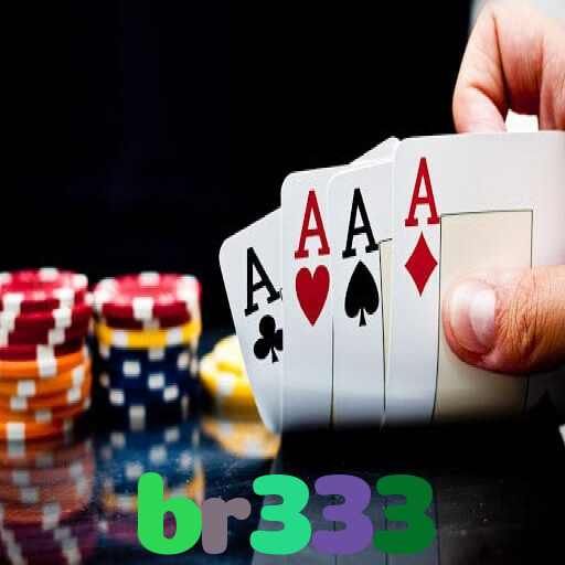br333